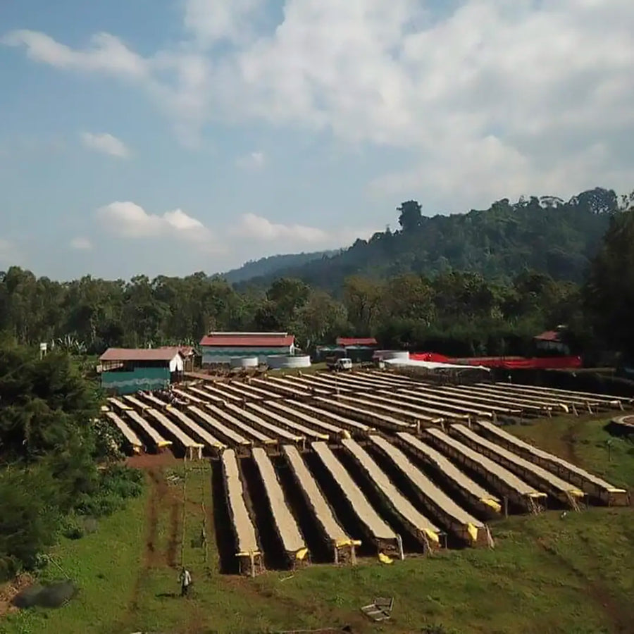 Aricha Washing Station