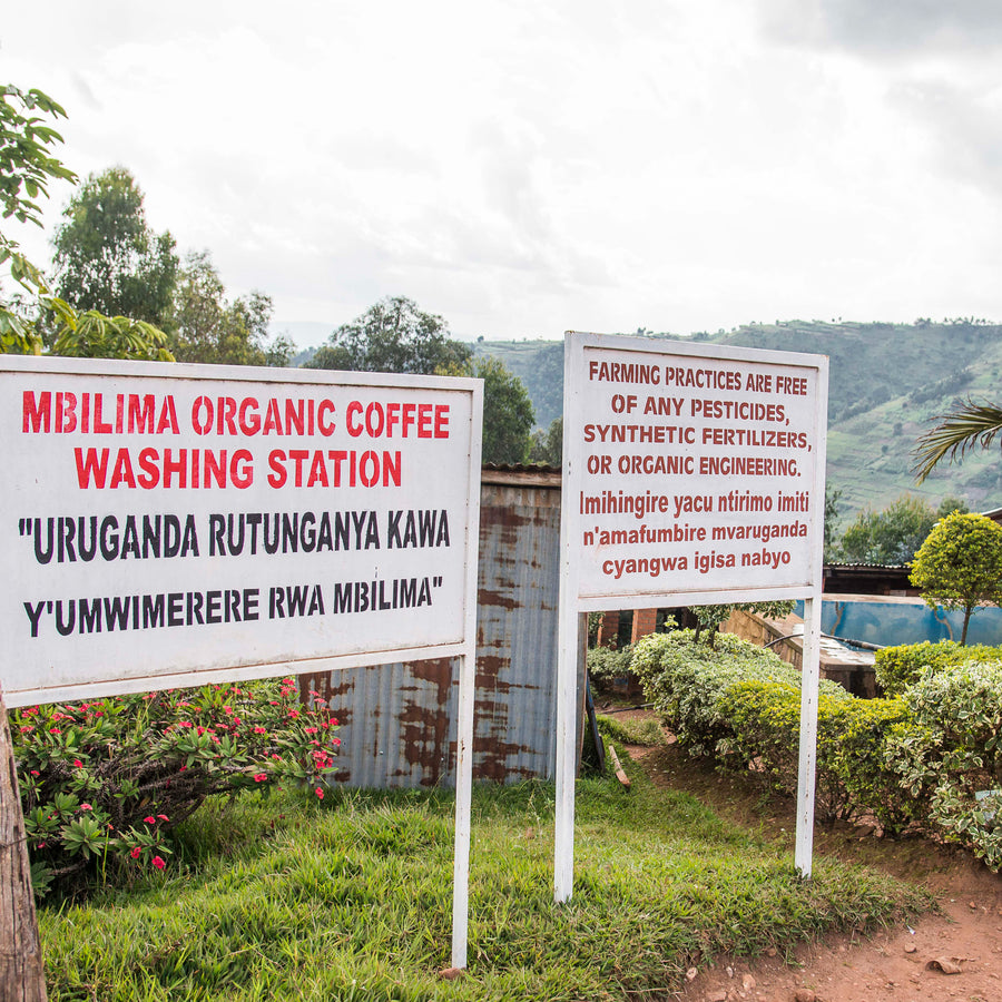 Mbilima Washing Station