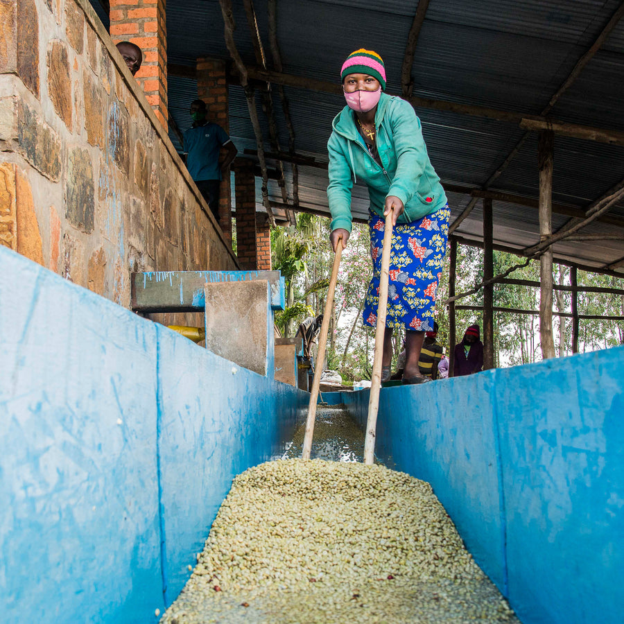 Mbilima Washing Station
