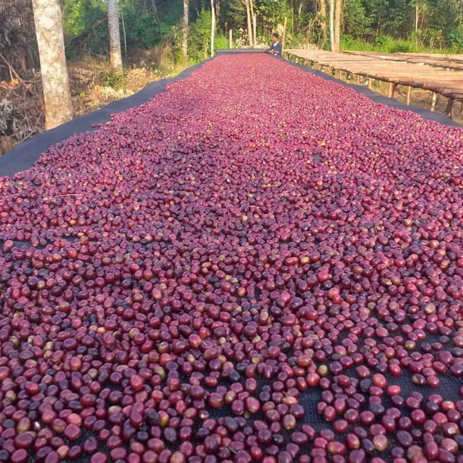 Jigesa Washing Station