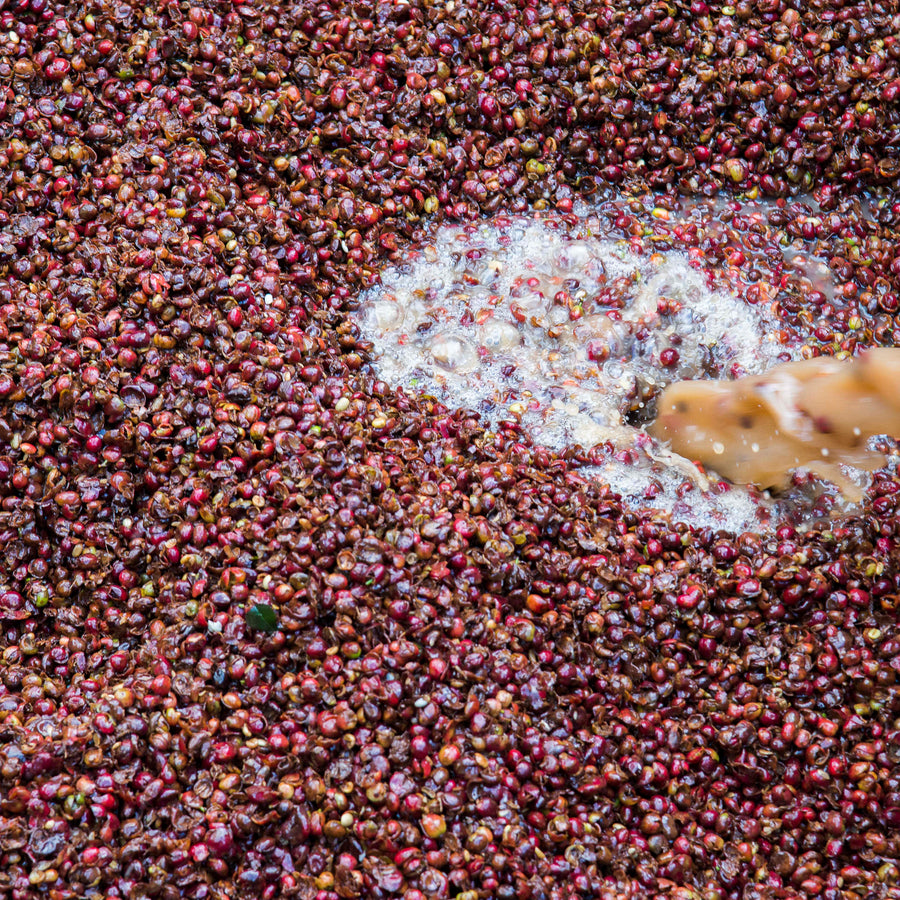 Mbilima Washing Station