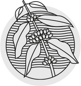 graphic icon of a coffee plant.